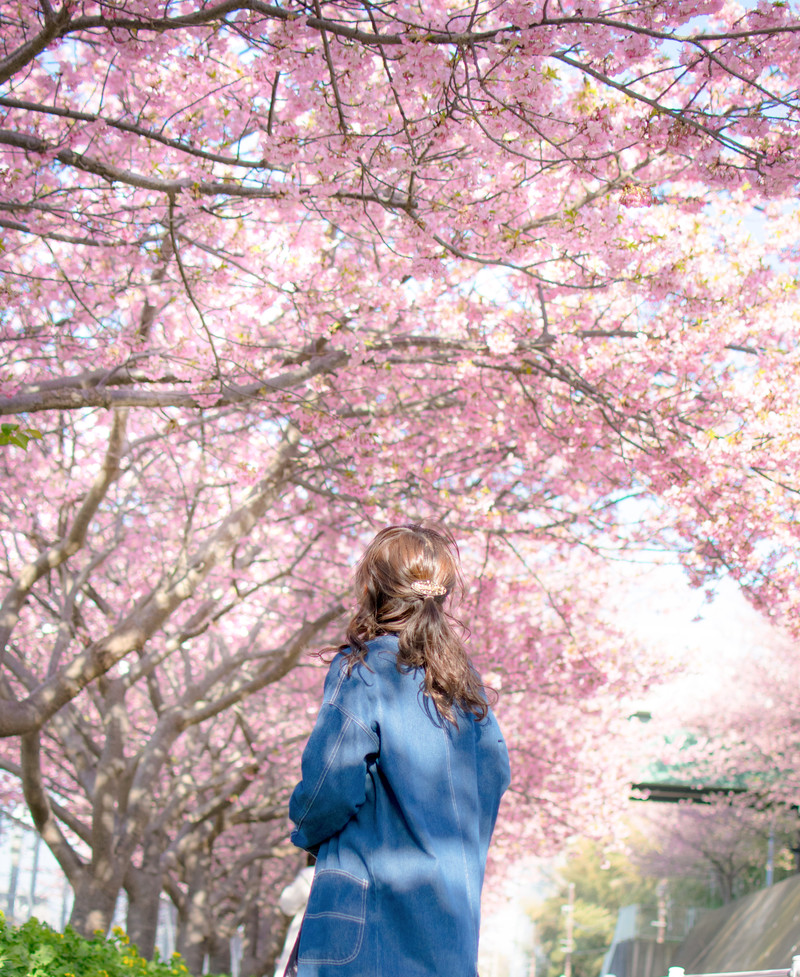 春は出会いの季節、山に桜咲き、心に春が訪れる