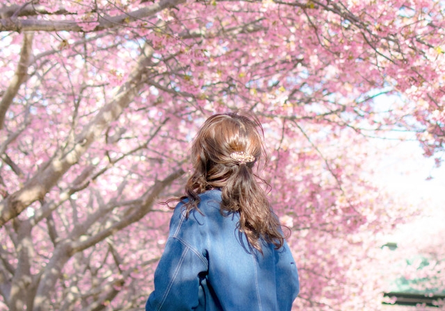 写真：春は出会いの季節、山に桜咲き、心に春が訪れる
