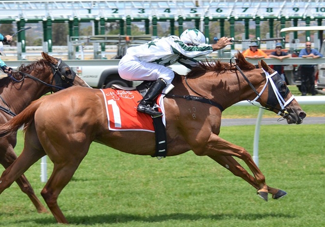 写真：恋愛と不倫を「競馬」で置き換えた場合