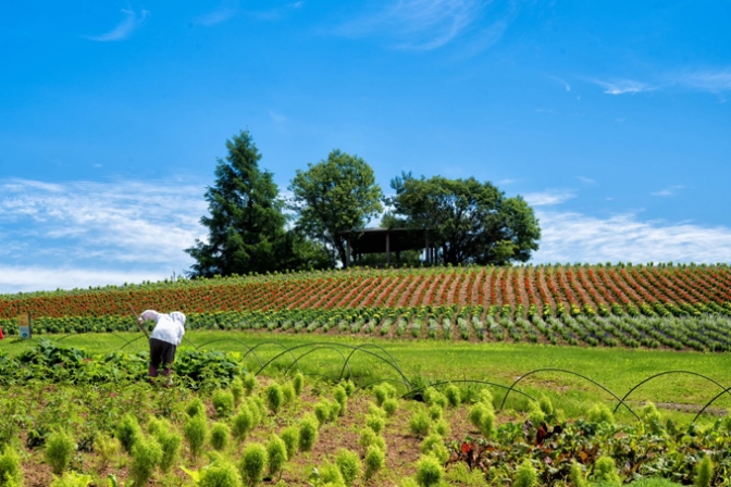 写真：恋愛成就しやすい「大阪～北海道」の遠距離恋愛とは